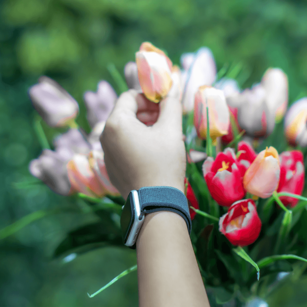 Gemo Nylon Loop Sports Band - Astra Straps