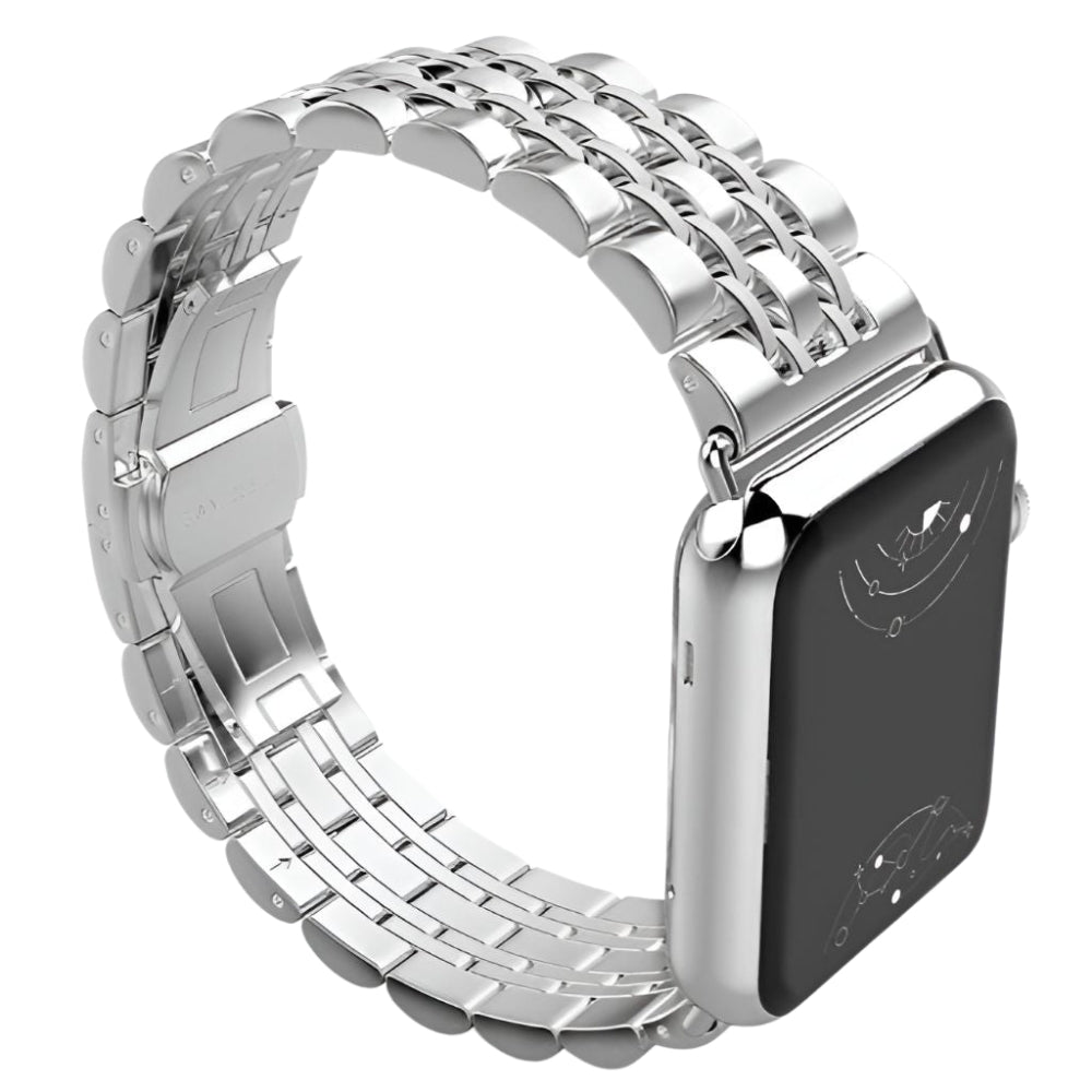 Sierra Stainless Steel Band + Case - Astra Straps