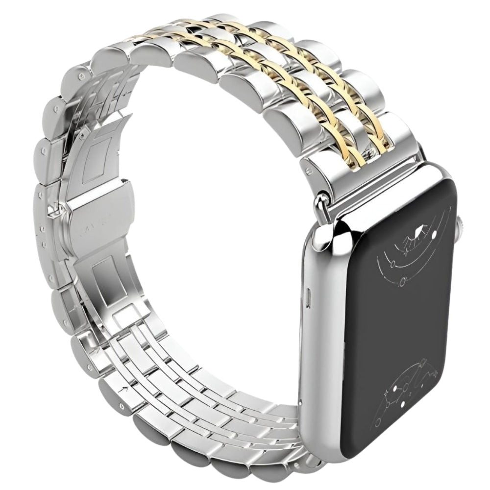 Sierra Stainless Steel Band + Case - Astra Straps