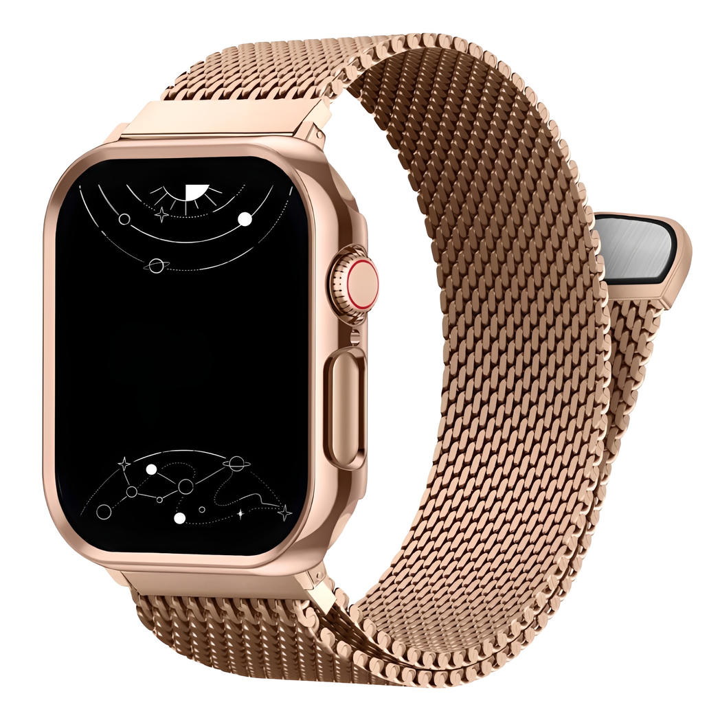 Ferrum Milanese Steel Magnetic Band With Case - Astra Straps