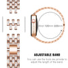 Deliciae Luxury Band + Case - Astra Straps